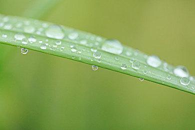 《巫师：重制版》将删除原作过时糟糕部分：不许歧视女性